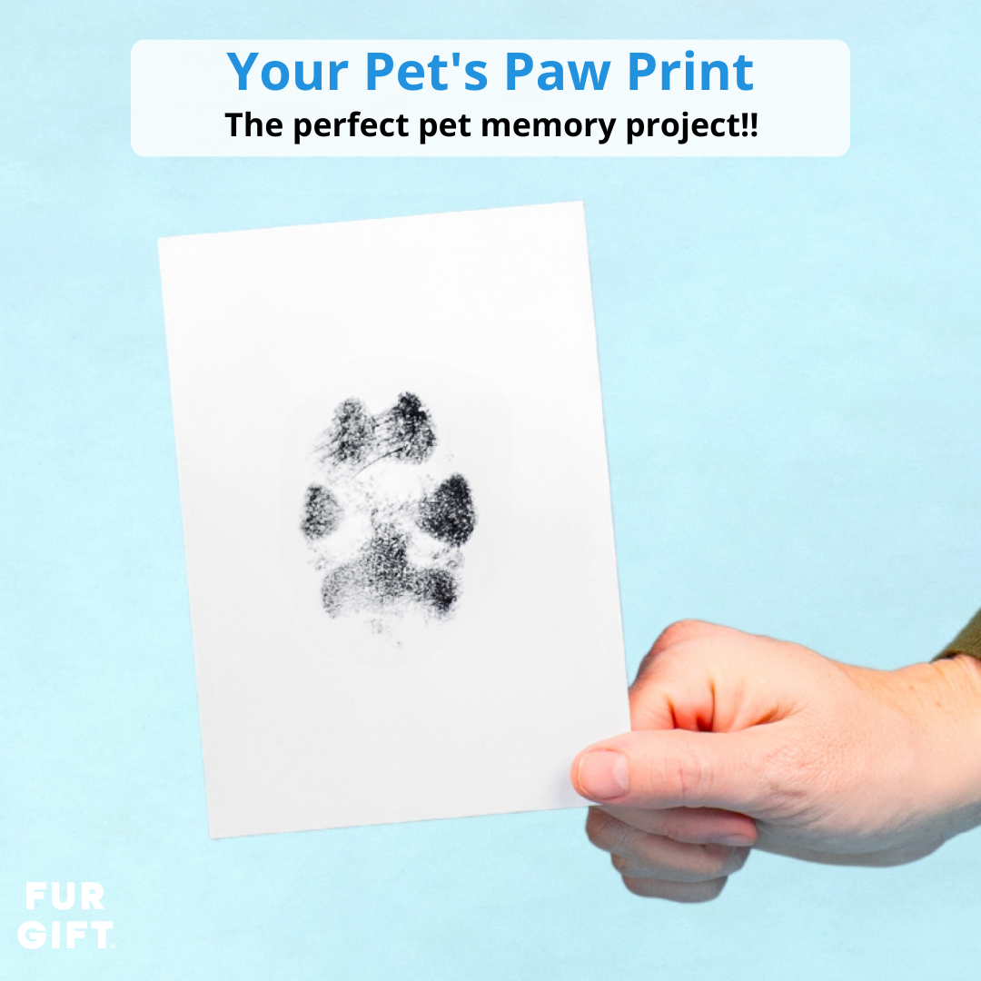 PawMemory™ - Print Kit