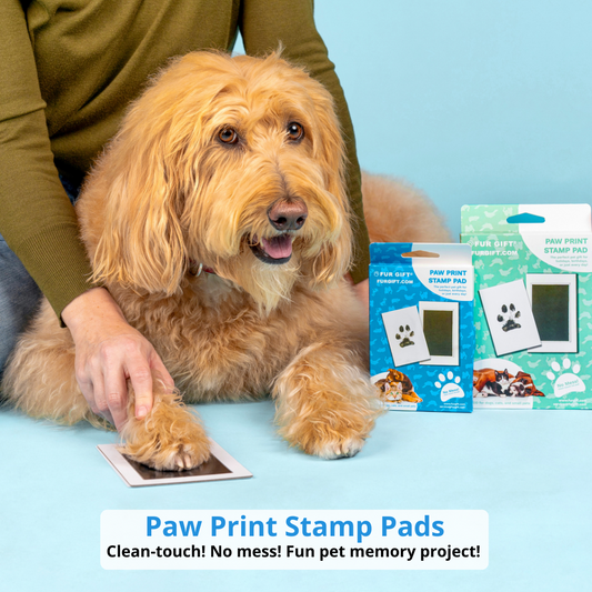PawMemory™ - Print Kit